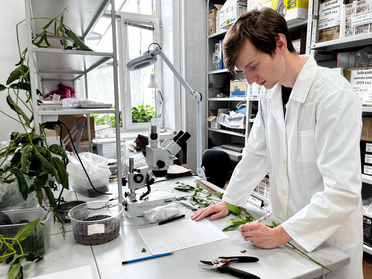 Ученые ИГиП ДВО РАН стали победителями конкурсов на получение грантов Российского научного фонда