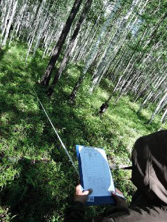 Результаты исследования многолетней пирогенной динамики лесов Амурской области представили сотрудники «ЭкоЛаб» ИГиП ДВО РАН